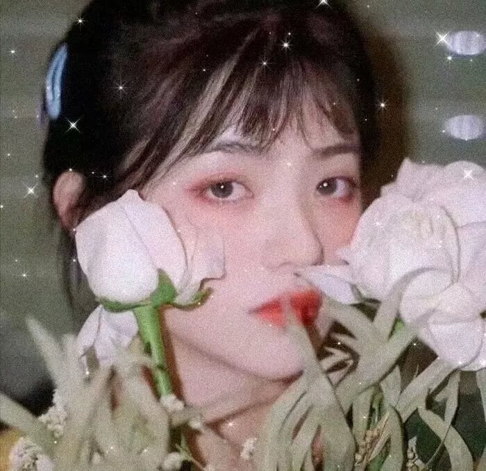 桃姐